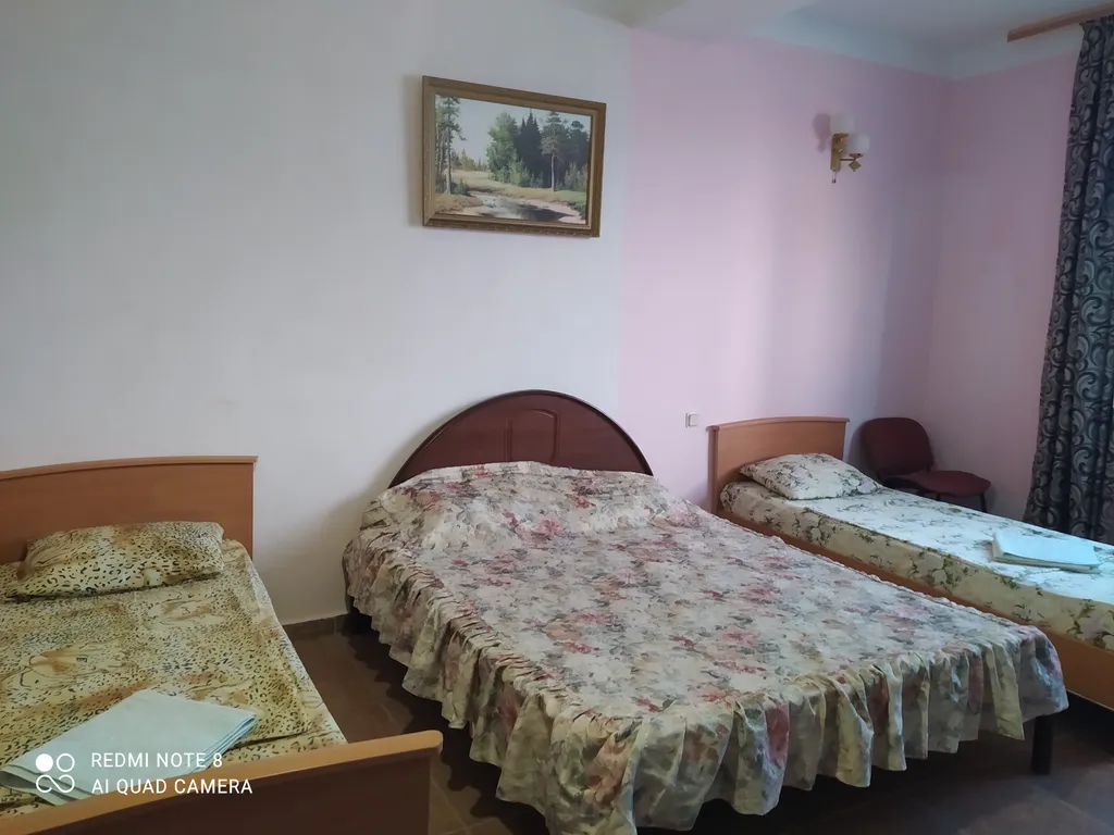 Трёхместный номер Полулюкс с видом на горы — спальное место