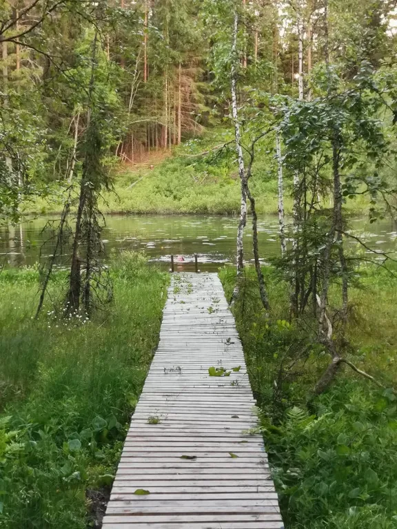 Таунхаус 2-местный в местечко Ханки, 16 м², Рускеала — фото 9
