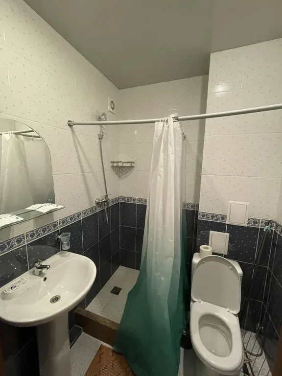 Двухместный номер с 1 кроватью комфорт без балкона — Авдалия, фото 3 из 4