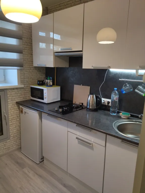 Квартира однокомнатная на улице Советской, 27 м², Псков — кухня, фото 3