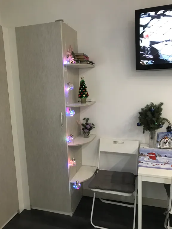 Студия однокомнатная на улице Владимирской, 26 м², Анапа — фото 12