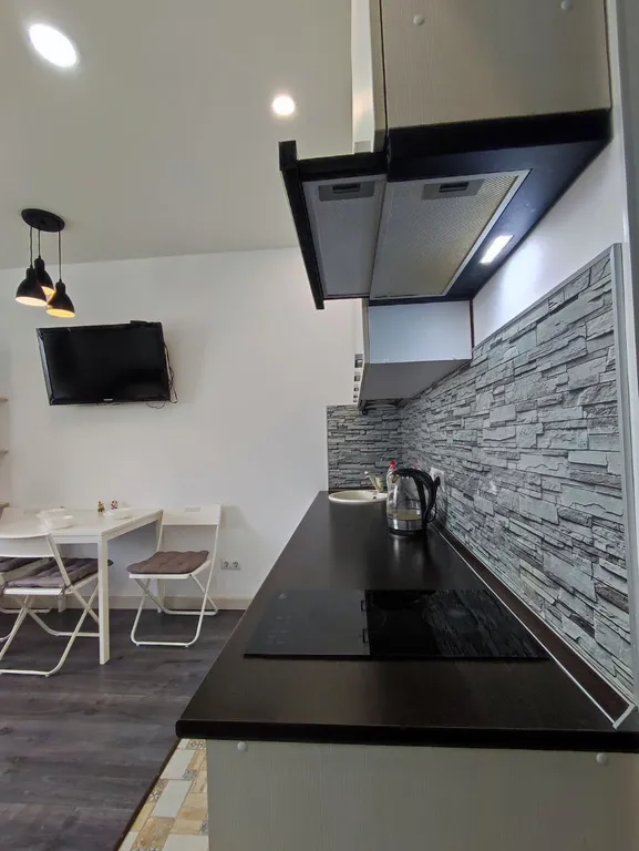 Студия однокомнатная на улице Владимирской, 26 м², Анапа — кухня, фото 2