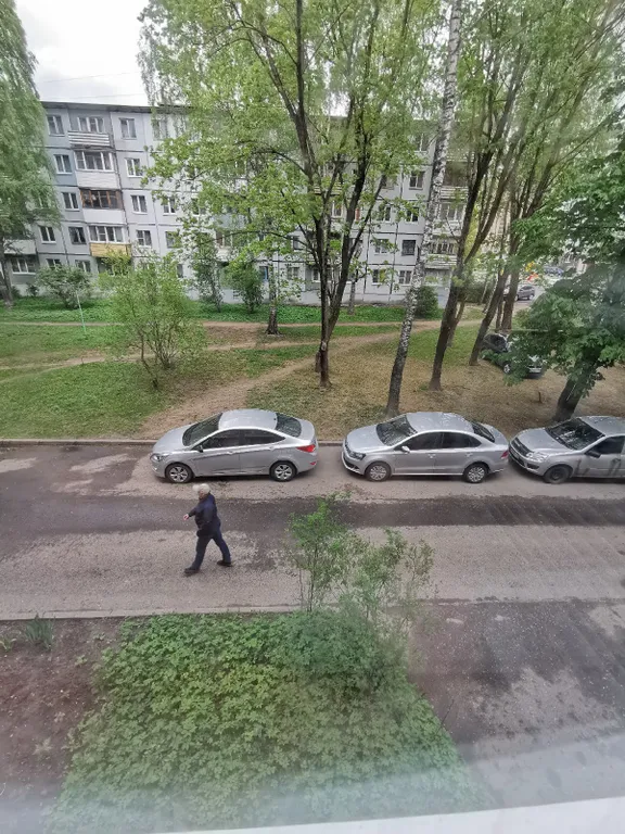 Квартира двухкомнатная на улице Юбилейной, 52 м², Псков — вид из окна