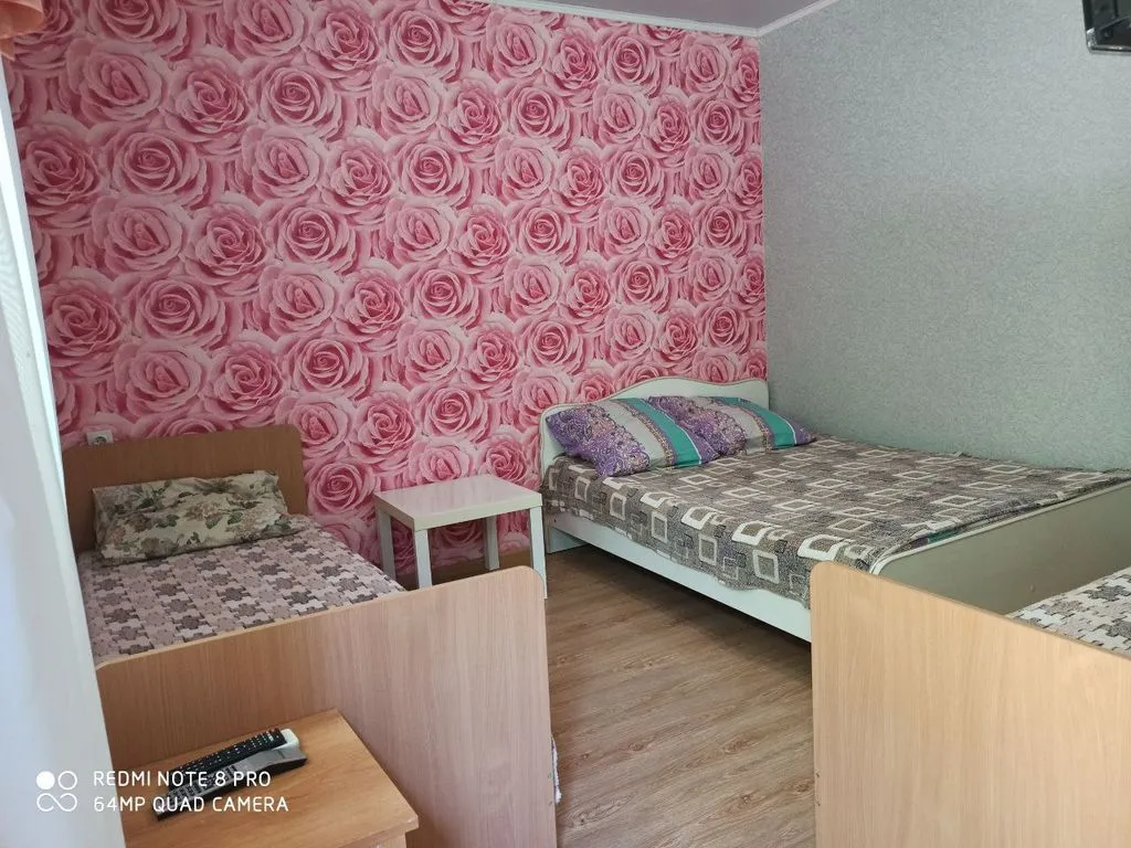 Четырёхместный номер стандарт — Тихий сад, фото 1 из 5