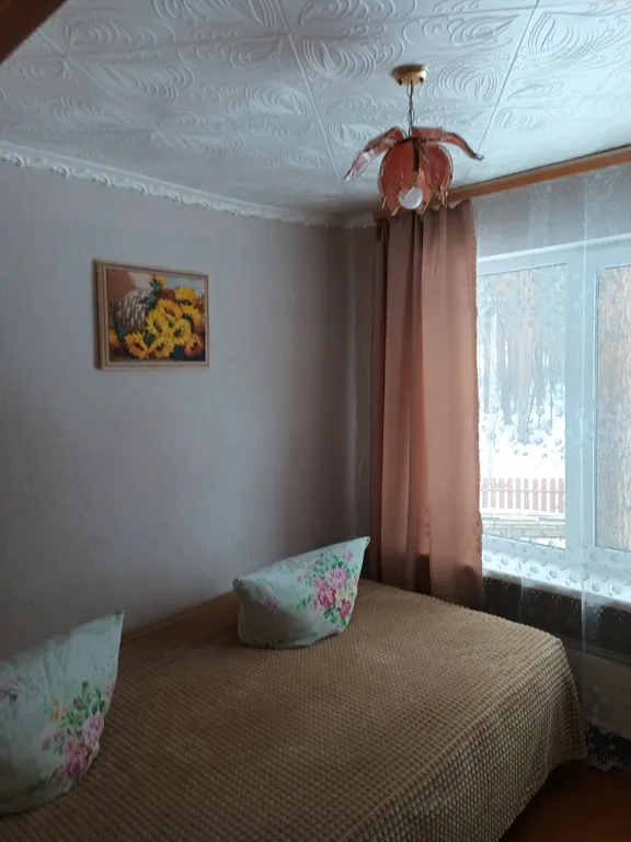 Фото отеля «В сосновом бору», 7