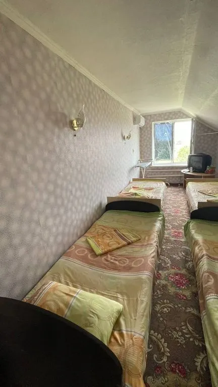 Многоместный смешанный номер стандарт — На Кленовой — фото 5