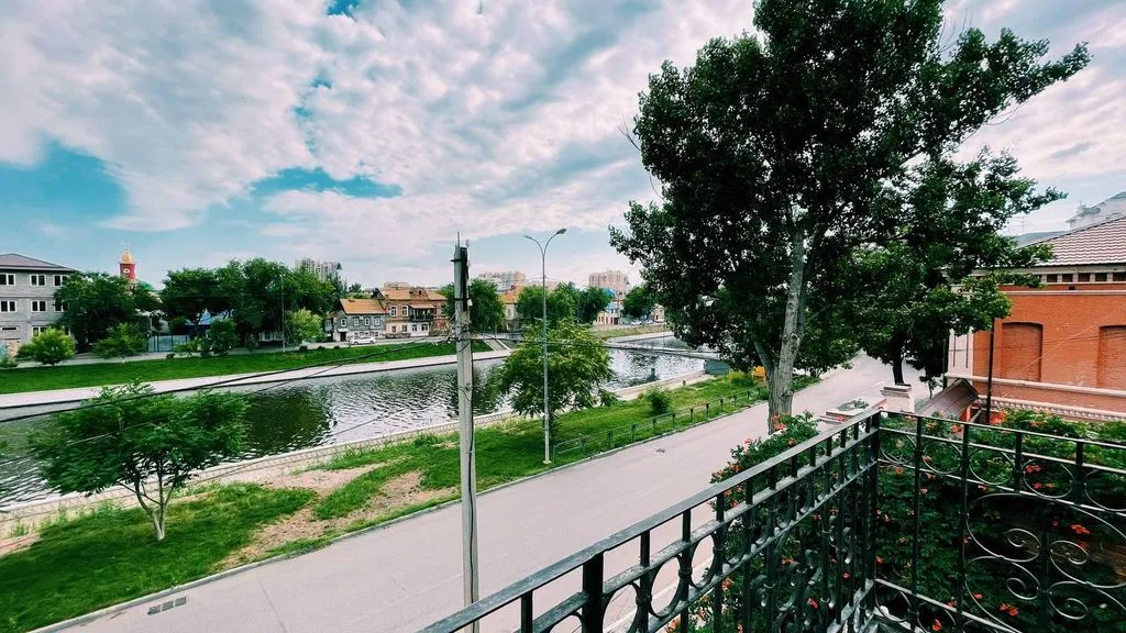 Астра — фото 3