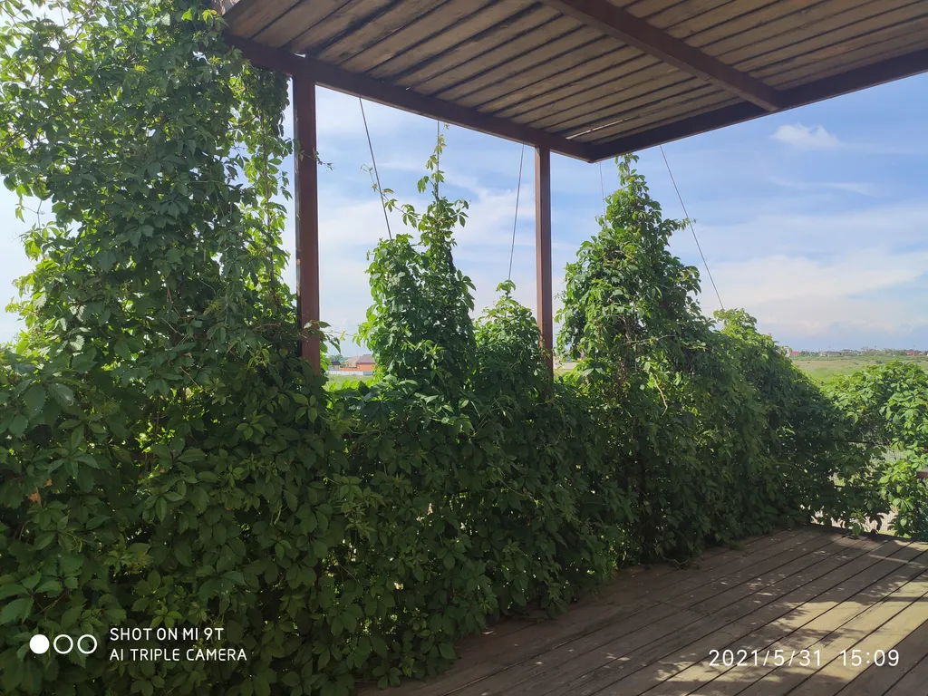 Комната на 2 этаже с общей террасой — спальное место