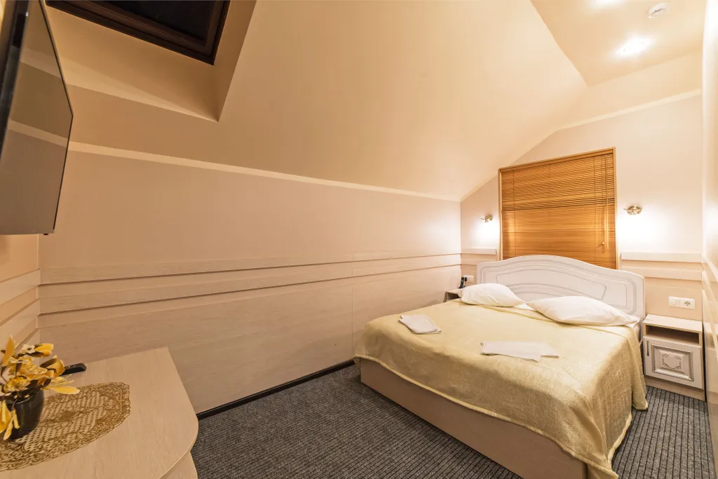 Двухместный номер с 1 кроватью люкс №3