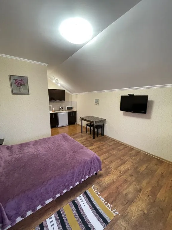 Двухместный номер с 1 кроватью Дабл