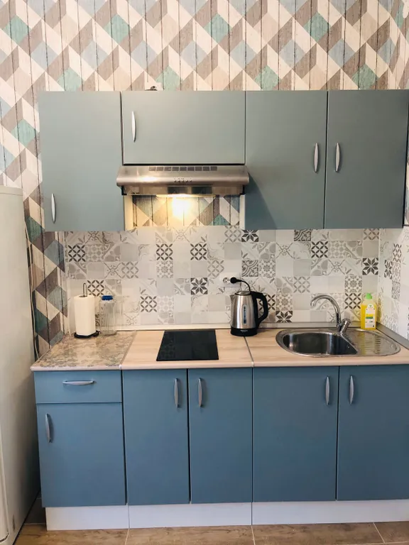 Квартира однокомнатная на шоссе Лососинском, 33 м², Петрозаводск — кухня, фото 3