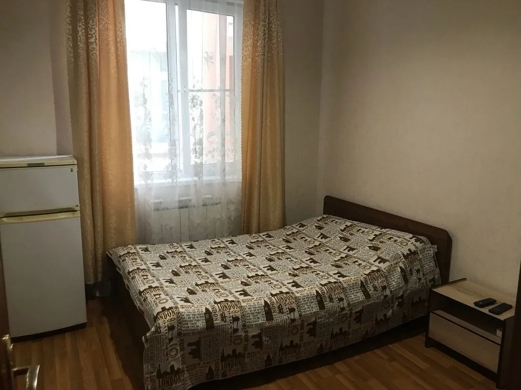 Двухместный номер с 1 кроватью стандарт с видом на город — Лукоморье, фото 1 из 5