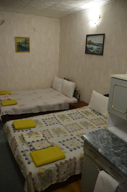 Дом деревенский двухкомнатный