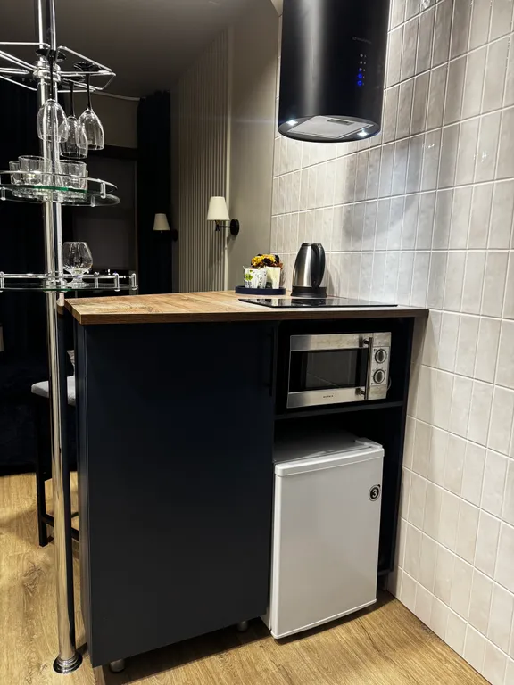 Апартаменты однокомнатные на улице Некрасова, 25 м², Псков — кухня, фото 3