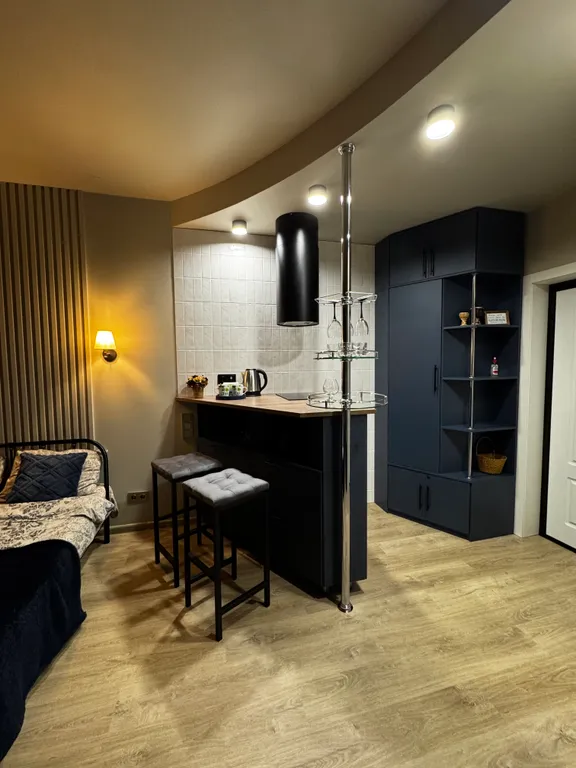 Апартаменты однокомнатные на улице Некрасова, 25 м², Псков — кухня, фото 5