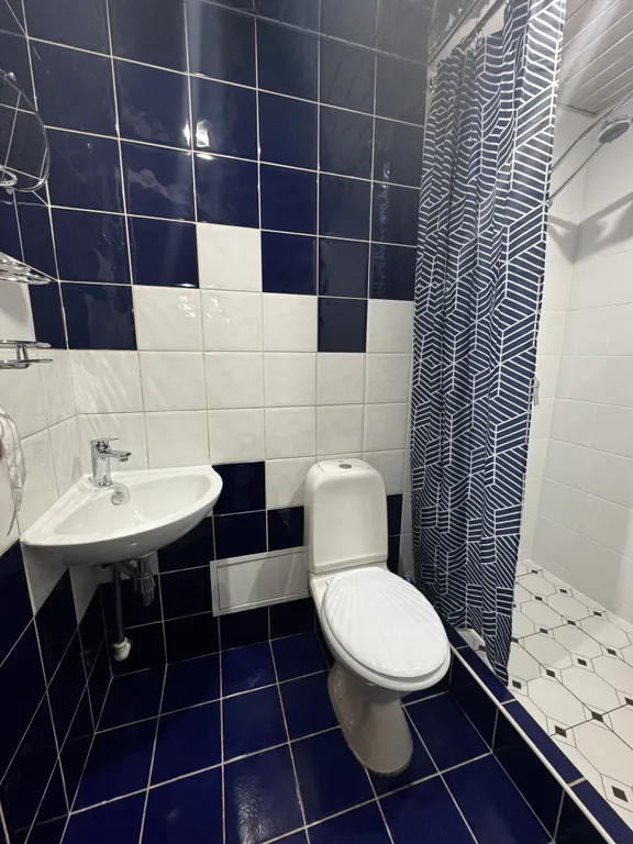 Апартаменты однокомнатные на улице Некрасова, 25 м², Псков — ванная комната