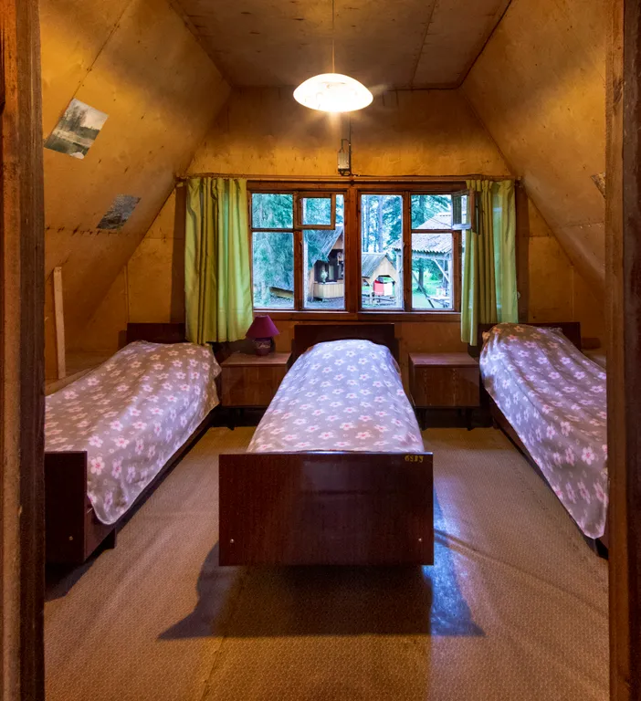 Дом стандарт