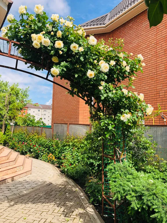 Фото отеля «Guest House on Eniseyskaya», 10