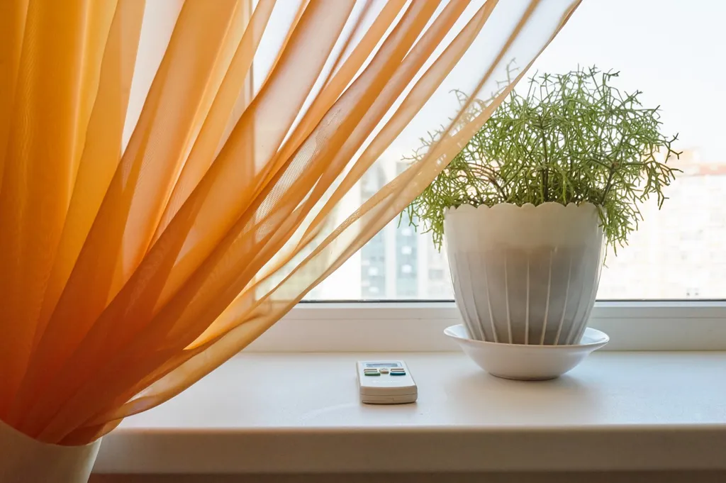 Квартира двухкомнатная в переулке Соборном, 78 м², Ростов-на-Дону — вид из окна