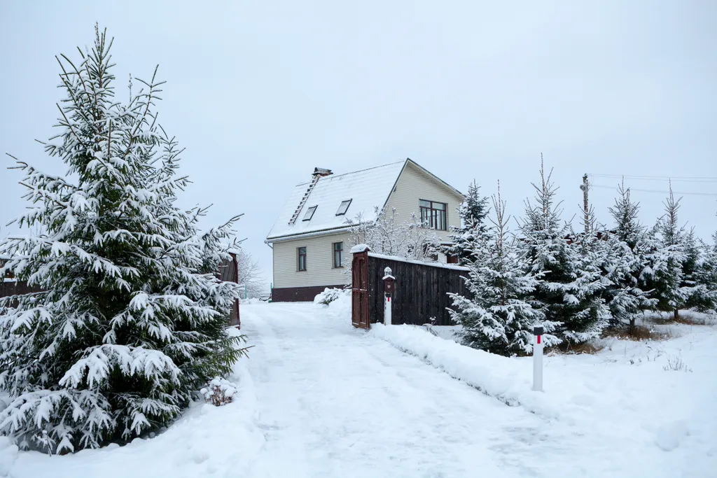 Дом 10-местный в деревни Ворониче, 120 м², Пушкинские Горы — фото 22
