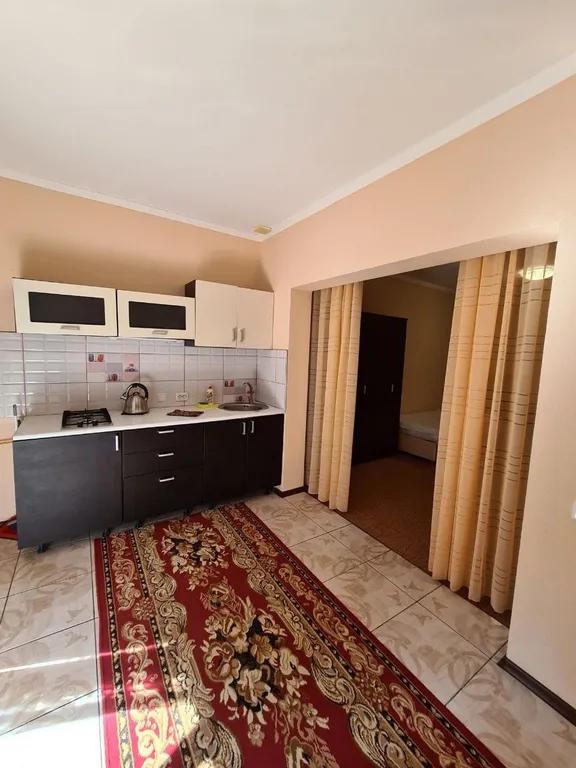 Номер студия 40м2 с кухней — Соната, фото 2 из 5