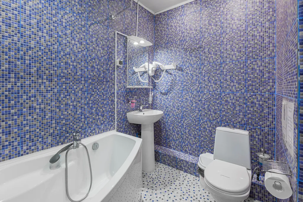 Двухместный номер с 1 кроватью делюкс с гидромассажной ванной