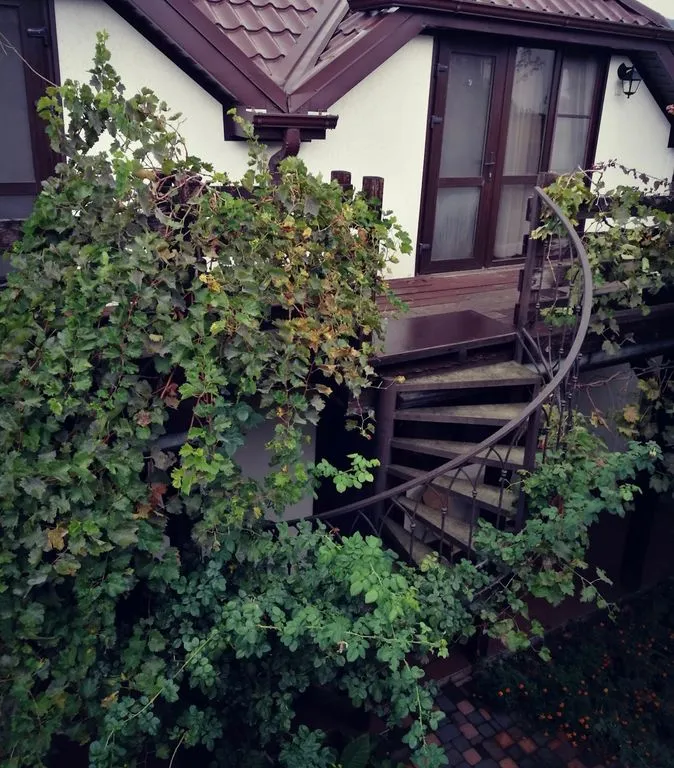 Фото отеля «Sadorini», 12