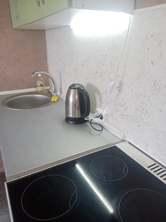 Квартира двухкомнатная у Заречной, в Молитовке, 55 м², Нижний Новгород — кухня, фото 3
