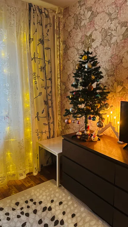 Студия однокомнатная на улице Сторожевой Башни, 19 м², Выборг — фото 15