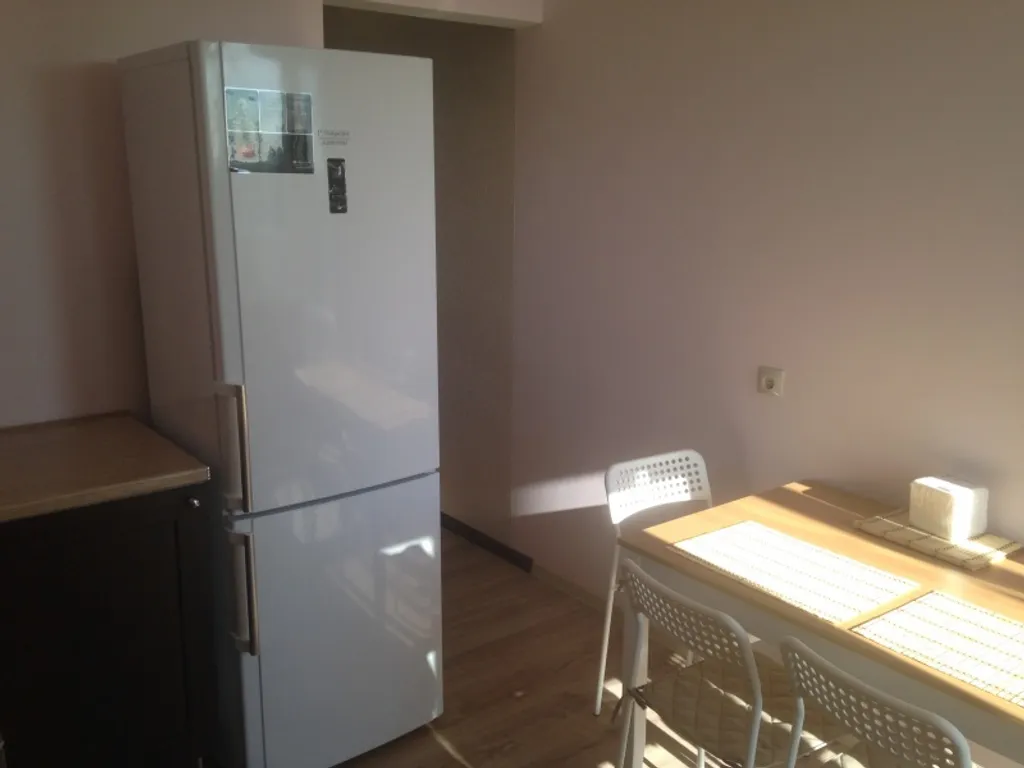 Квартира однокомнатная у Чкаловской, в Канавино, 40 м², Нижний Новгород — кухня, фото 2