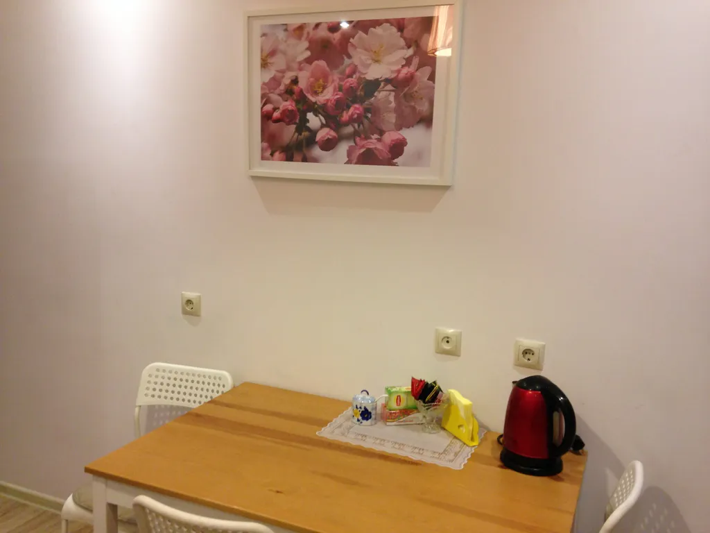 Квартира однокомнатная у Чкаловской, в Канавино, 40 м², Нижний Новгород — кухня, фото 3