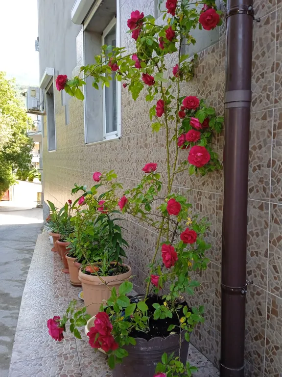 Квартира двухкомнатная на улице Академика В.В. Шулейкина, 45 м², Кацивели — фото 14
