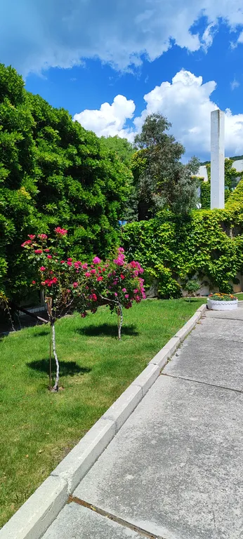 Квартира двухкомнатная на улице Академика В.В. Шулейкина, 45 м², Кацивели — фото 19