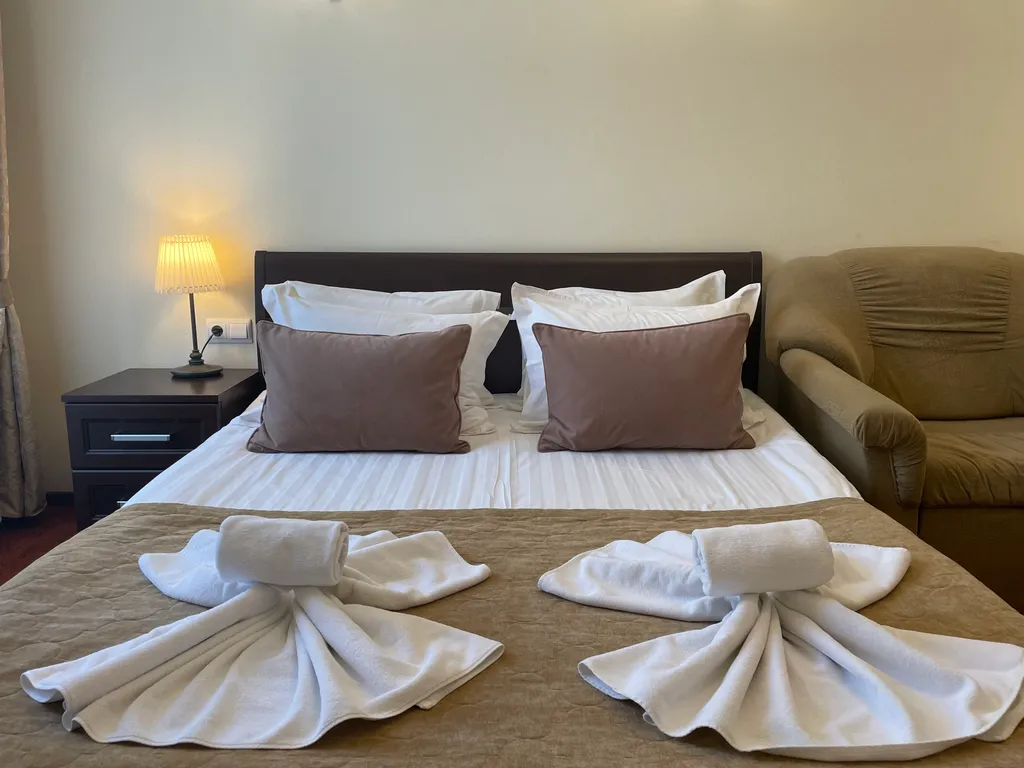 Двухместный с 1 кроватью улучшенный с видом на город