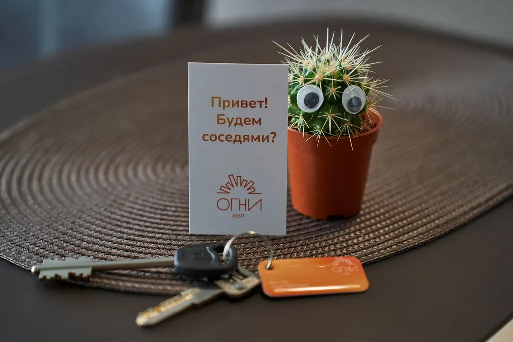Апартаменты studio standart 1-комнатный — вид из окна