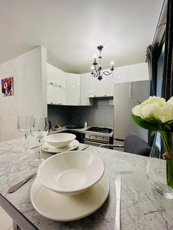 Квартира двухкомнатная у Профы, в Коньково, 45 м², Москва — кухня, фото 3