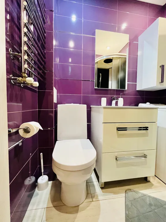 Квартира двухкомнатная у Профы, в Коньково, 45 м², Москва — ванная комната