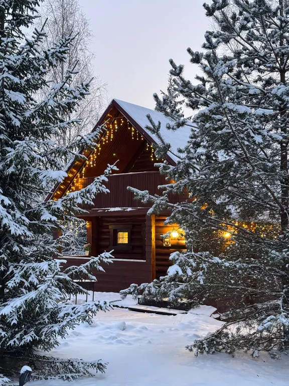 Дом трехместный