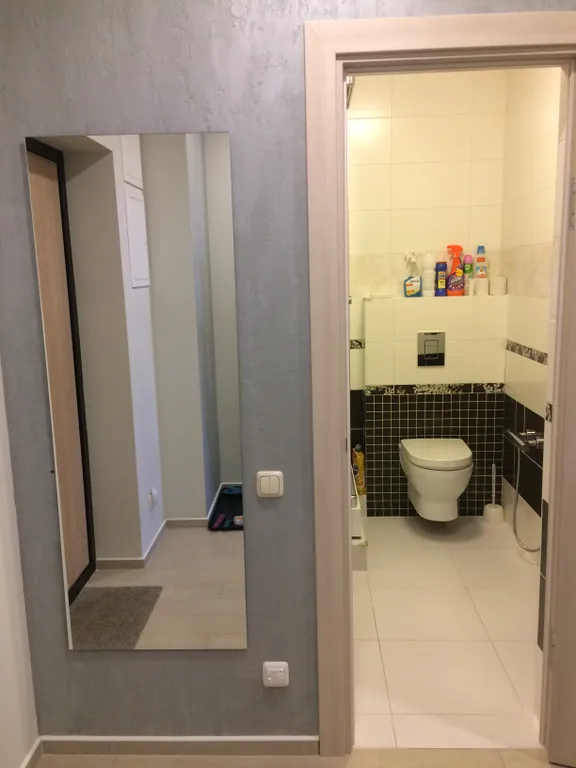 Квартира однокомнатная у Российской, в Октябрьском, 50 м², Самара — фото 7