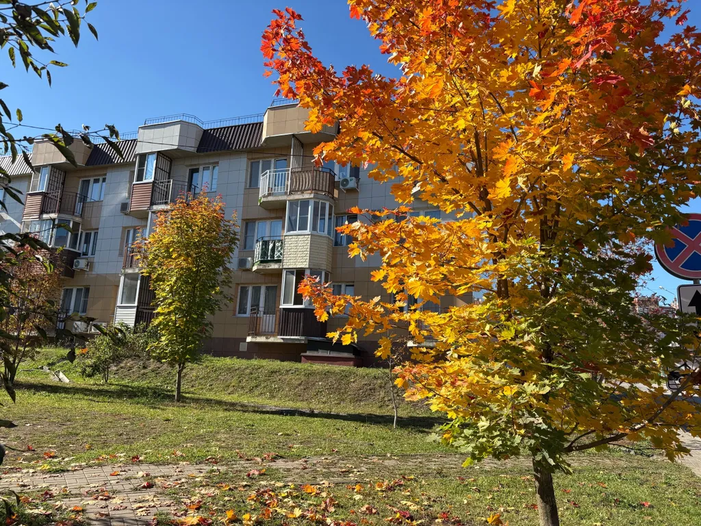 Квартира однокомнатная на проезде 3-й Восточном, 30 м², Осиновая Гора — фото 15
