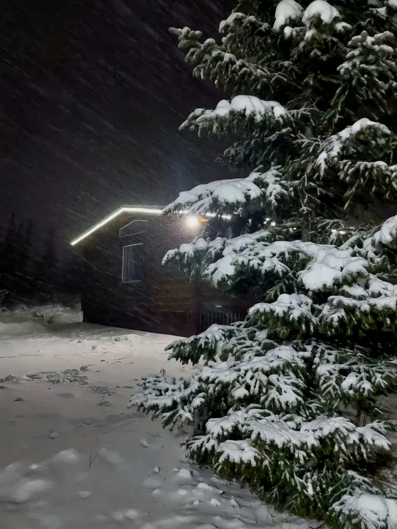 Уютный дом Леvnaeли