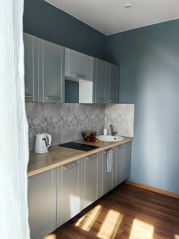 Студия однокомнатная в Куйбышевском, 40 м², Иркутск — кухня, фото 6