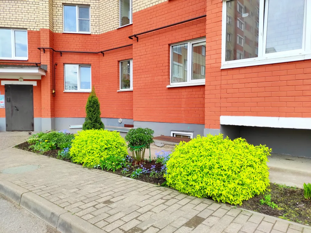 Квартира однокомнатная на улице Якова Павлова, 40 м², Великий Новгород — фото 15