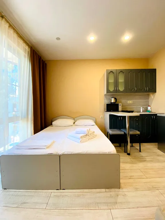 Студия однокомнатная на улице Ленина, 25 м², Адлер — фото 3