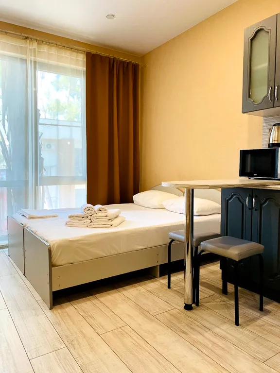 Студия однокомнатная на улице Ленина, 25 м², Адлер — фото 5