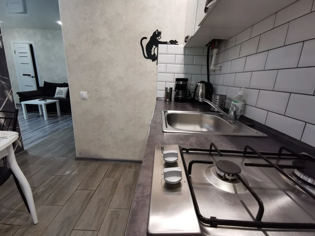 Квартира однокомнатная на набережной реки Великой, 33 м², Псков — кухня, фото 3