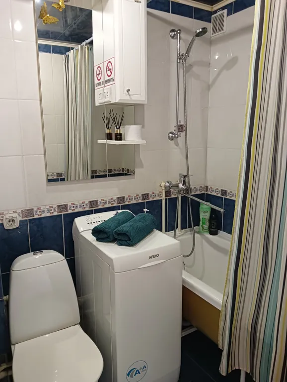Квартира однокомнатная на улице Строителее, 30 м², Апатиты — ванная комната