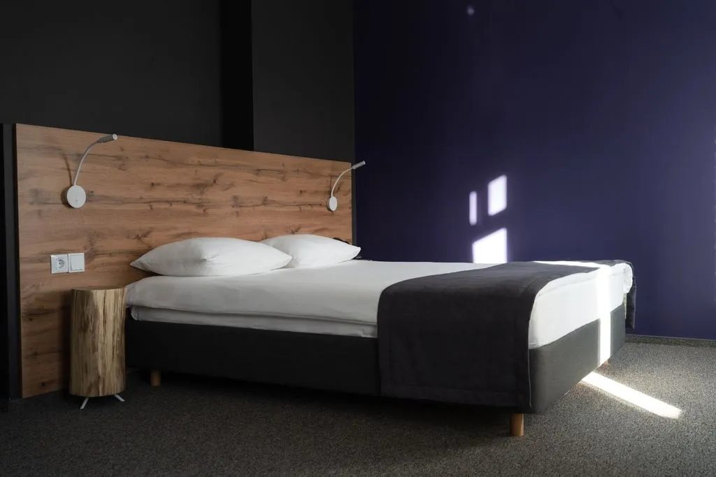 Двухместный номер с 1 кроватью комфорт — Roomi, фото 1 из 5