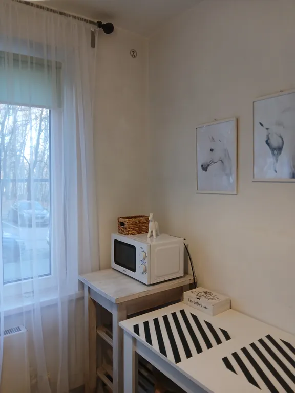 Квартира однокомнатная у Ясенево, в Ясенево, 30 м², Москва — кухня, фото 7