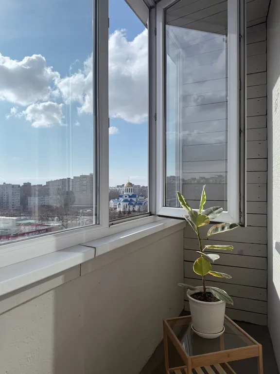 Квартира двухкомнатная в Автозаводском, 51 м², Тольятти — фото 4